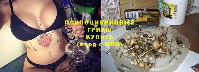 Галлюциногенные грибы прущие грибы  как найти закладки  Братск 